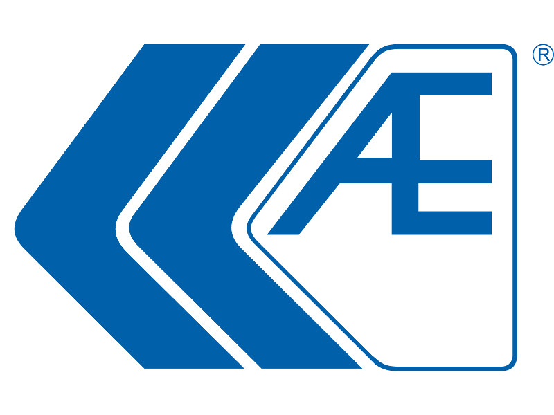 Впускн.клапан IN [33.85x6x104] [min 4] AUDI A3/A4, VW Golf/Jetta/Passat/Touran 2.0FSI mot.AWA/BLR/BLX/BLY/BMB/BVY/BVZ 02->_AE